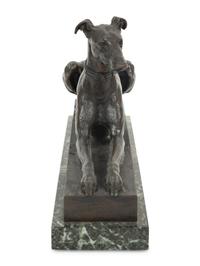 Tom, the Algerian Greyhound