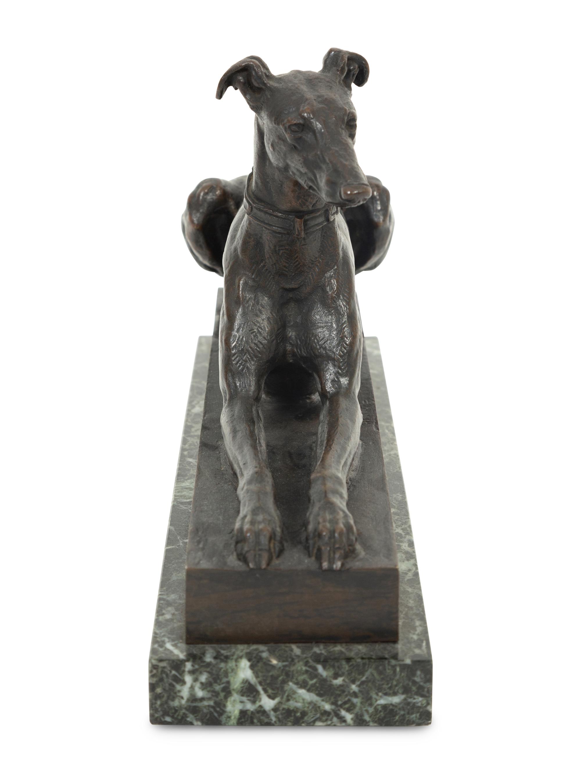 Tom, the Algerian Greyhound