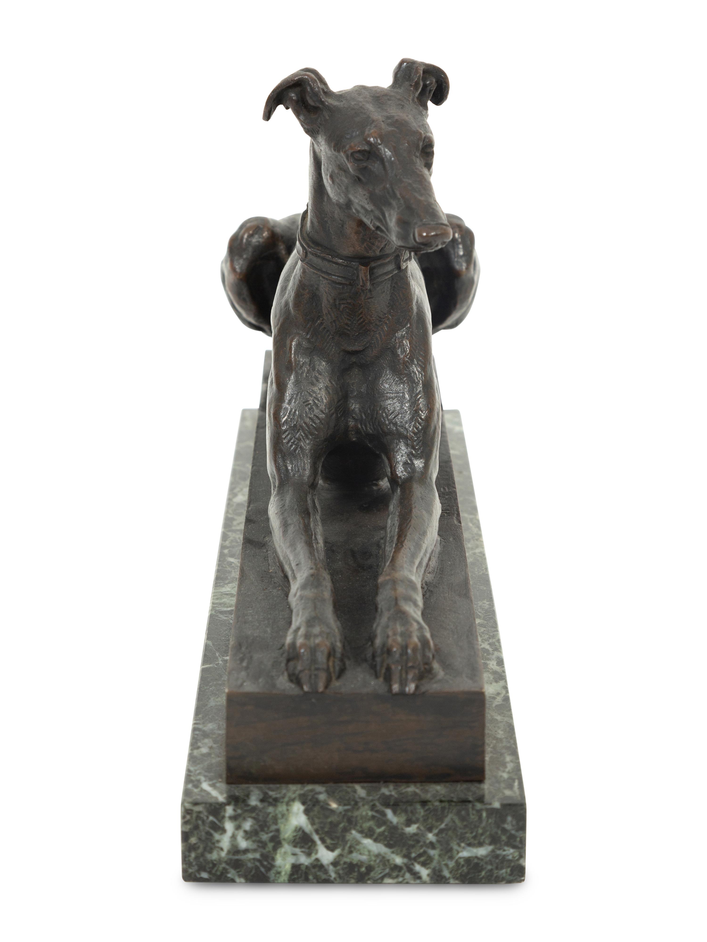 Tom, the Algerian Greyhound