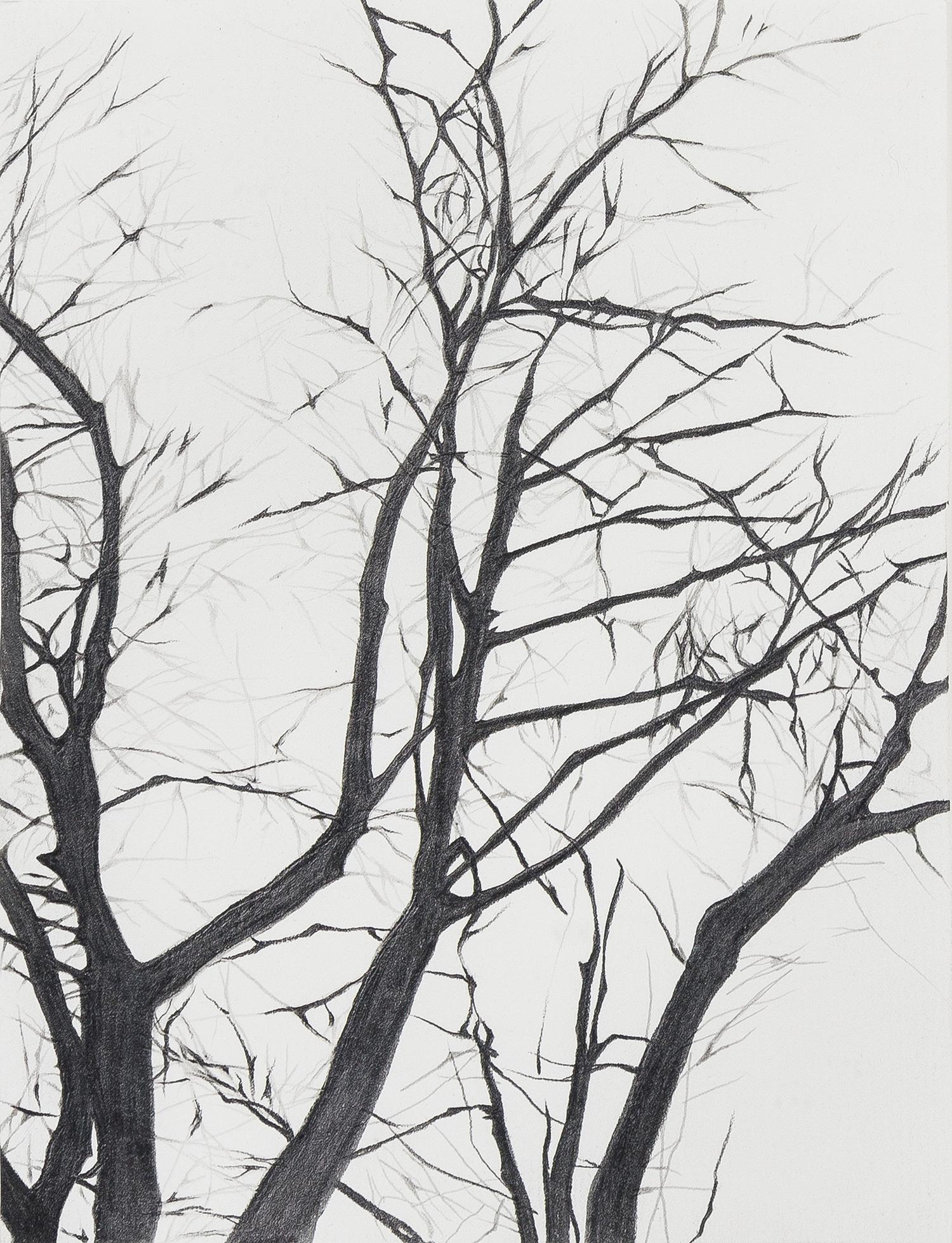 Marc Brandenburg, (German, b. 1965), Untitled, 1998-1999