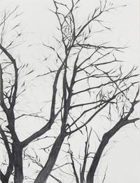 Marc Brandenburg, (German, b. 1965), Untitled, 1998-1999