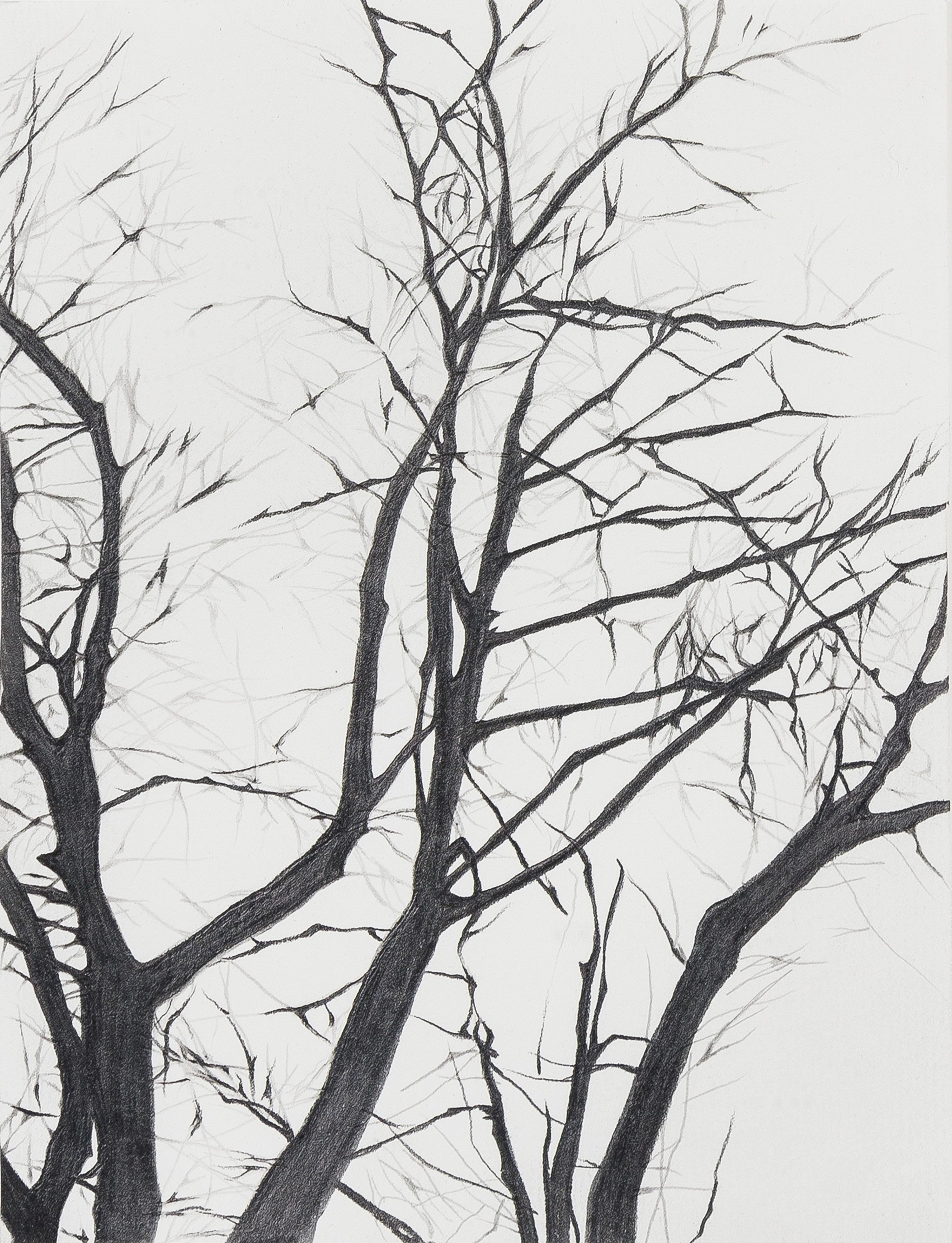 Marc Brandenburg, (German, b. 1965), Untitled, 1998-1999