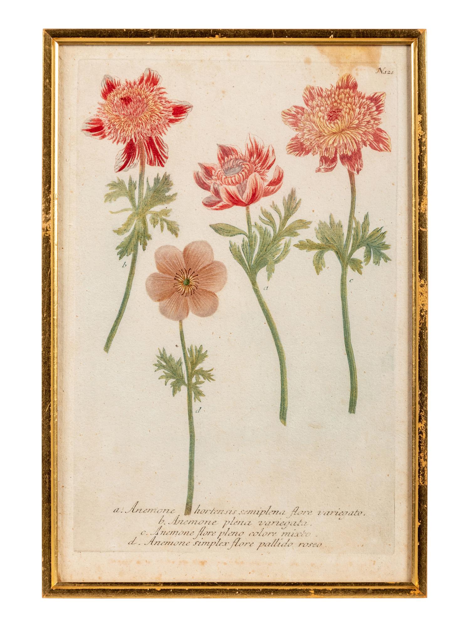 A Set of Six Hand-Colored Botanical Engravings