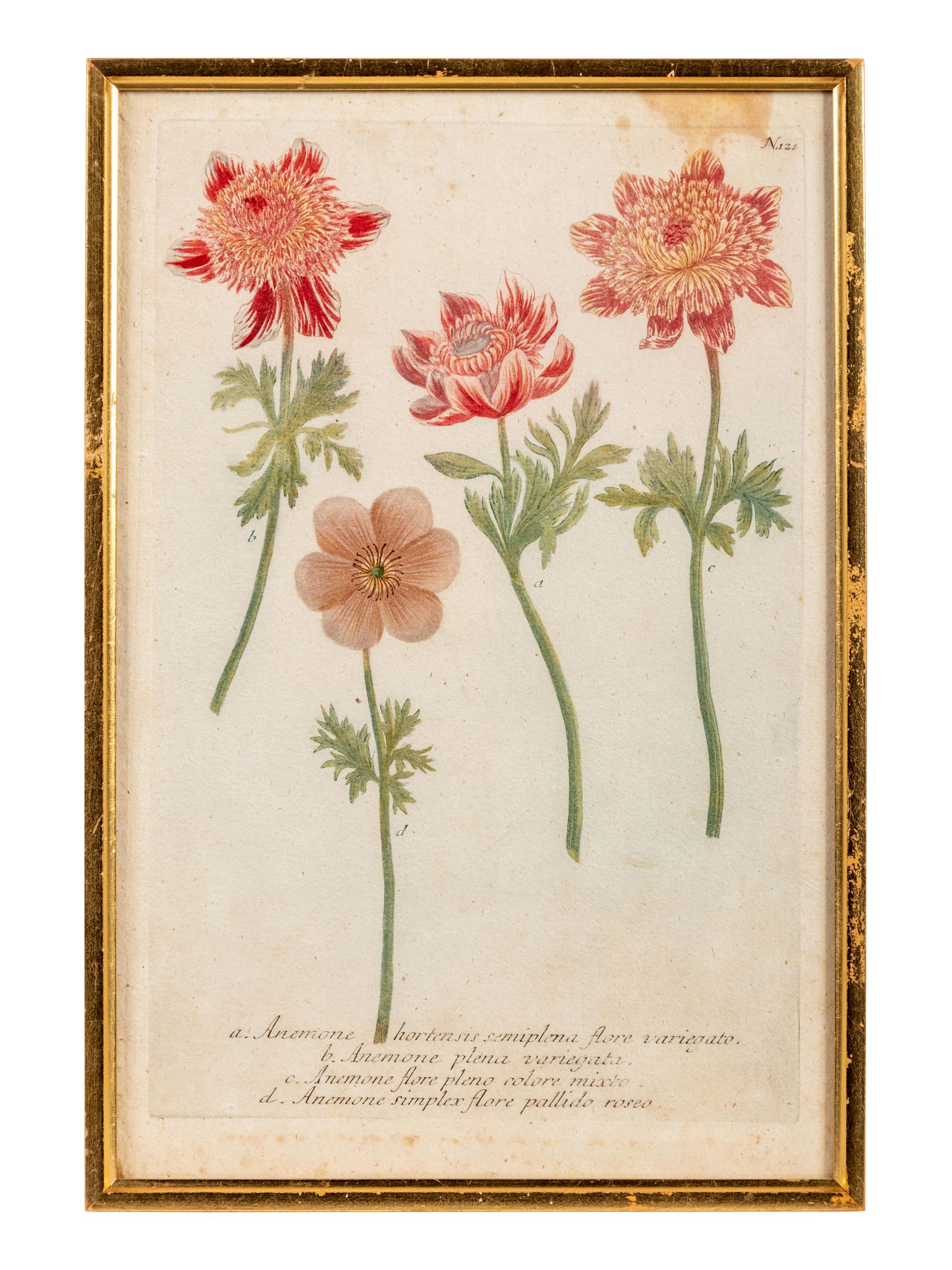 A Set of Six Hand-Colored Botanical Engravings