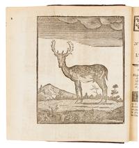 LE VERRIER DE LA CONTERIE. Venerie normande, ou l'Ecole de la chasse aux chiens courants. Rouen: 1778.
