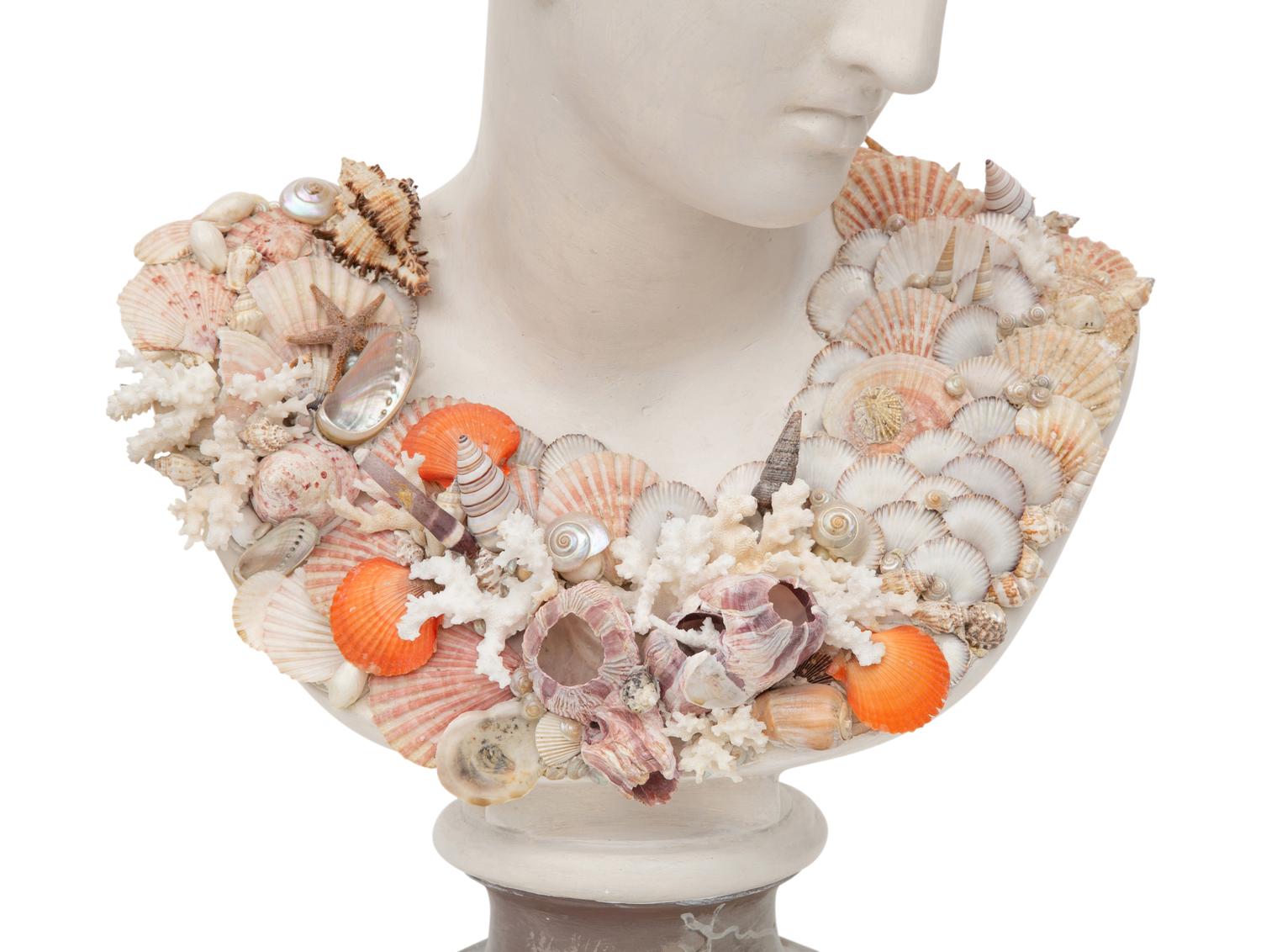 A Shell-Encrusted Bust