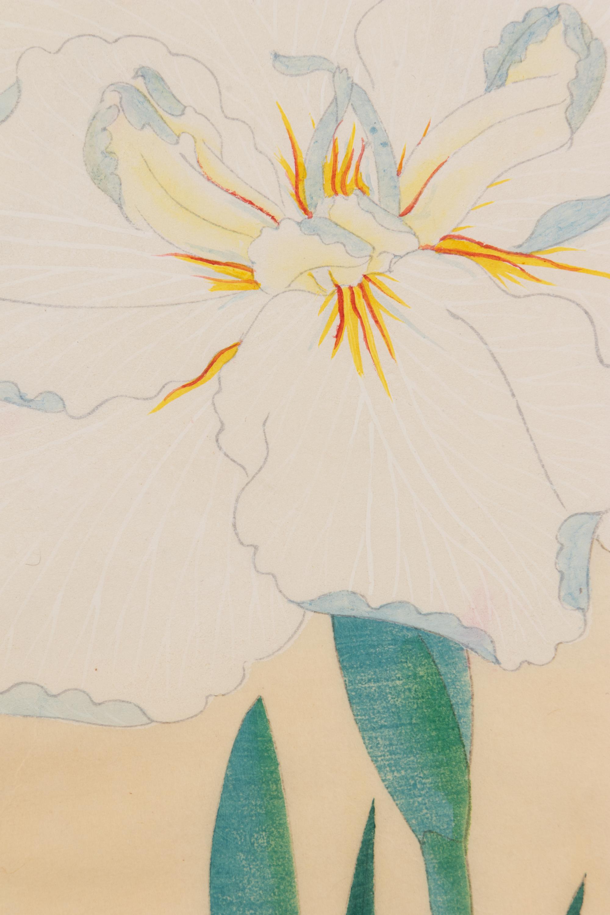 Seven Original Hand-Colored Prints
