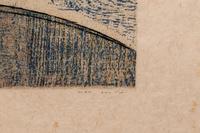 Oiseaux Souterrains