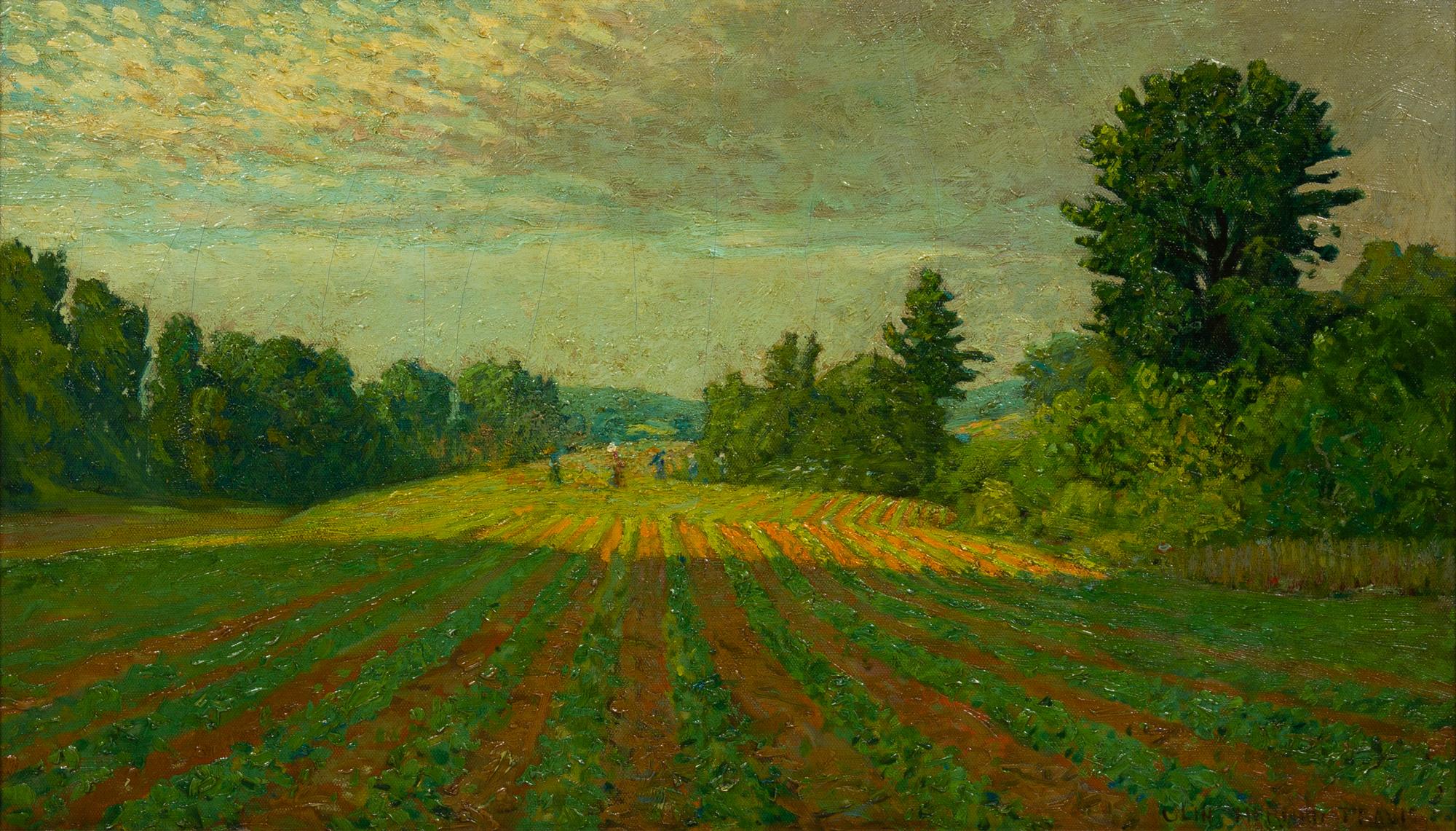 In the Fields