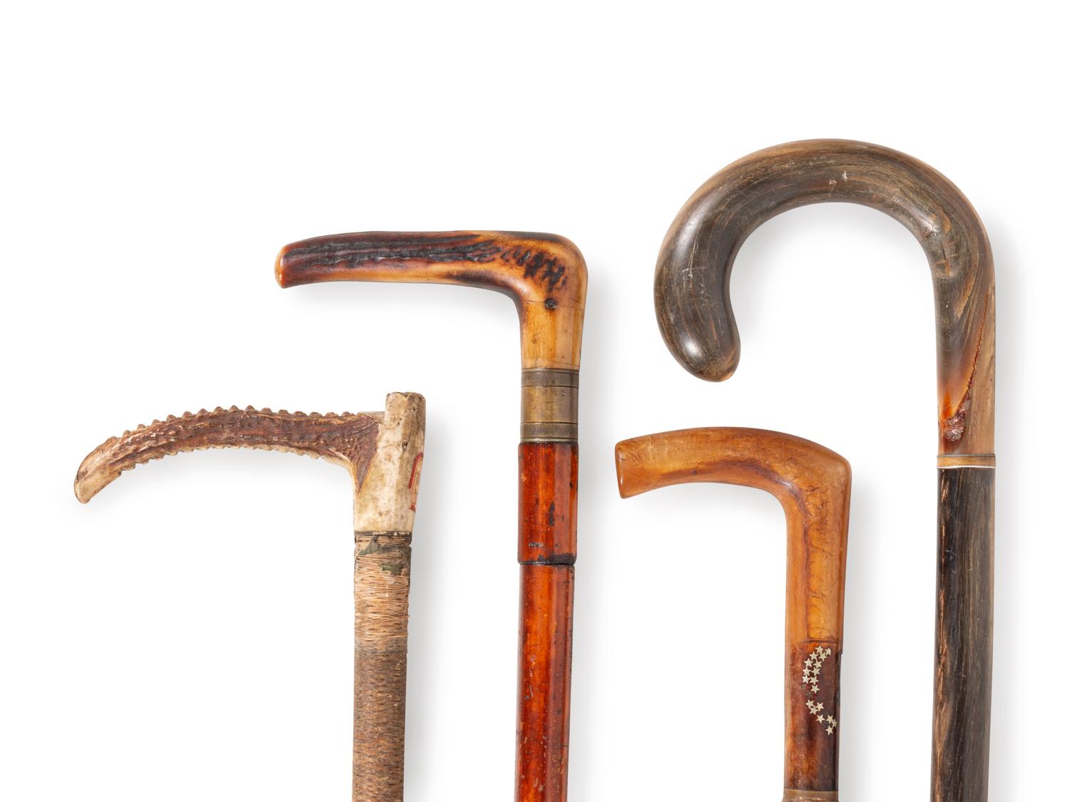 Nine Horn-Mounted Canes and Walking Sticks