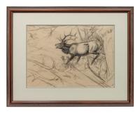 Elk in a Landscape , together with pencil study
