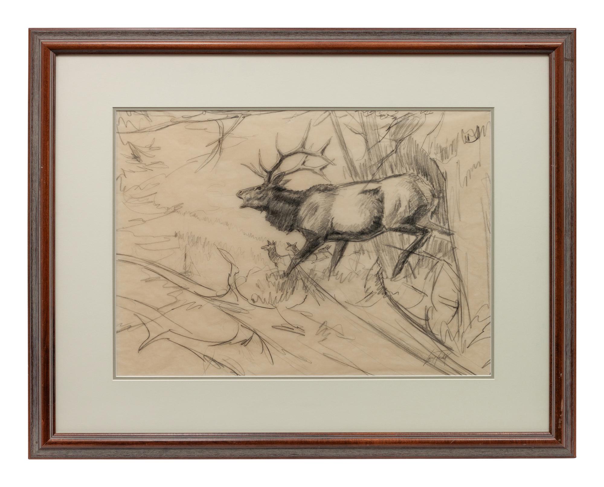 Elk in a Landscape , together with pencil study