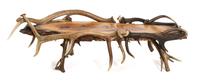 An American Folk Art Natural Wood and Antler Low Table Height 14 x length 58 x width 49 inches.
