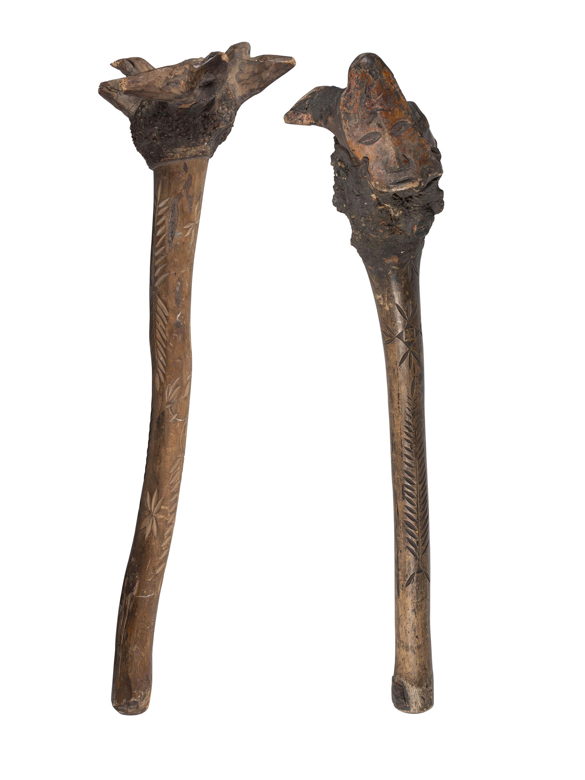 Penobscot Root Stock Clubs