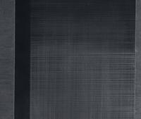 Bild 12/Fur/S,W,B # 4, 1979 (diptych)