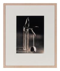 Melancholic Tulip, 1939; printed mid 1970s