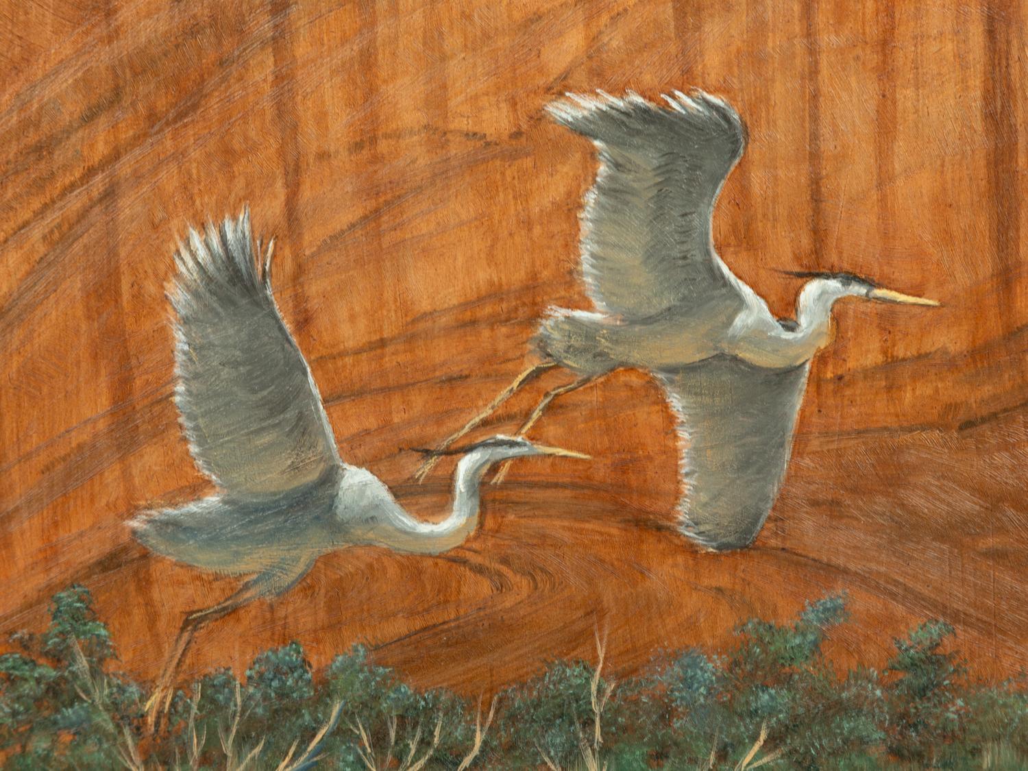Canyon Fight , 1995
