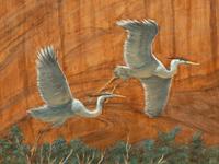 Canyon Fight , 1995