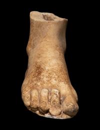 A Roman Marble Right Foot From a Statue