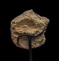 A Maya Limestone Face Fragment