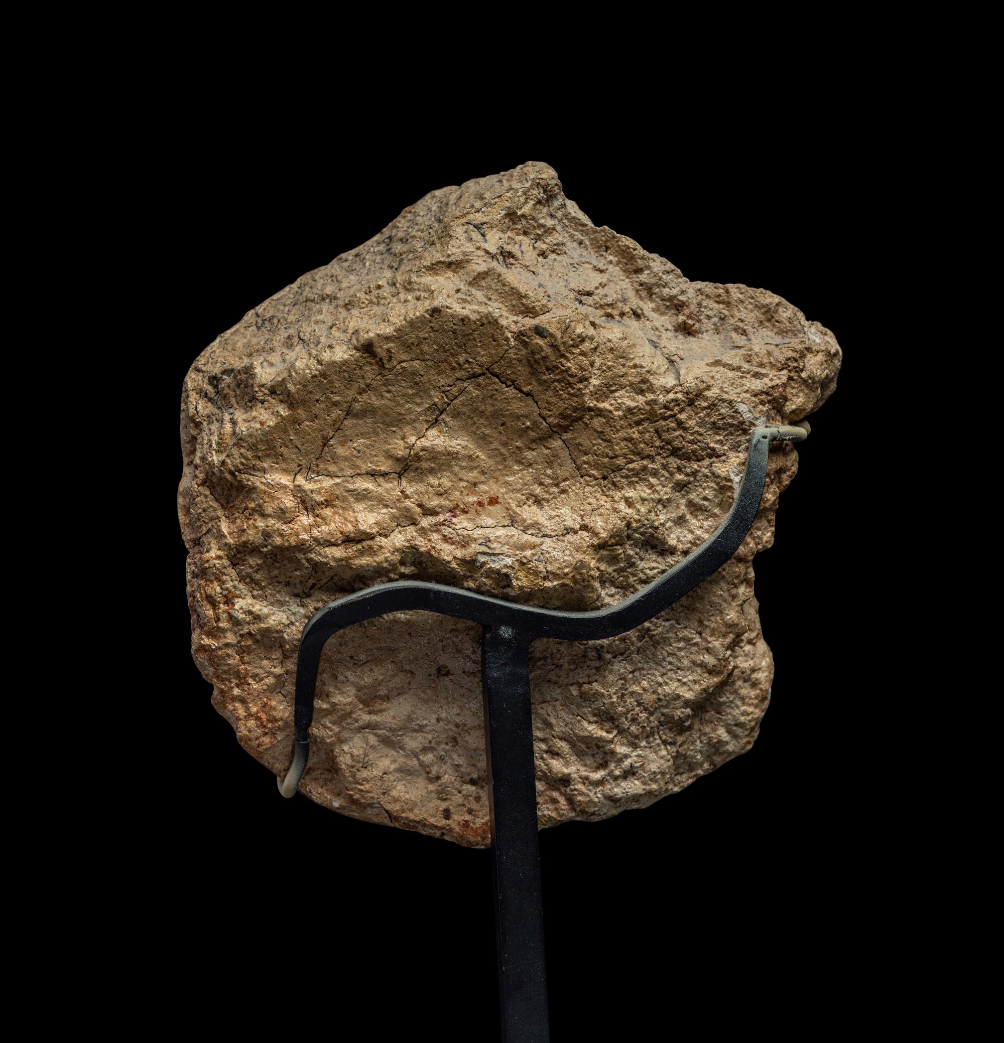 A Maya Limestone Face Fragment