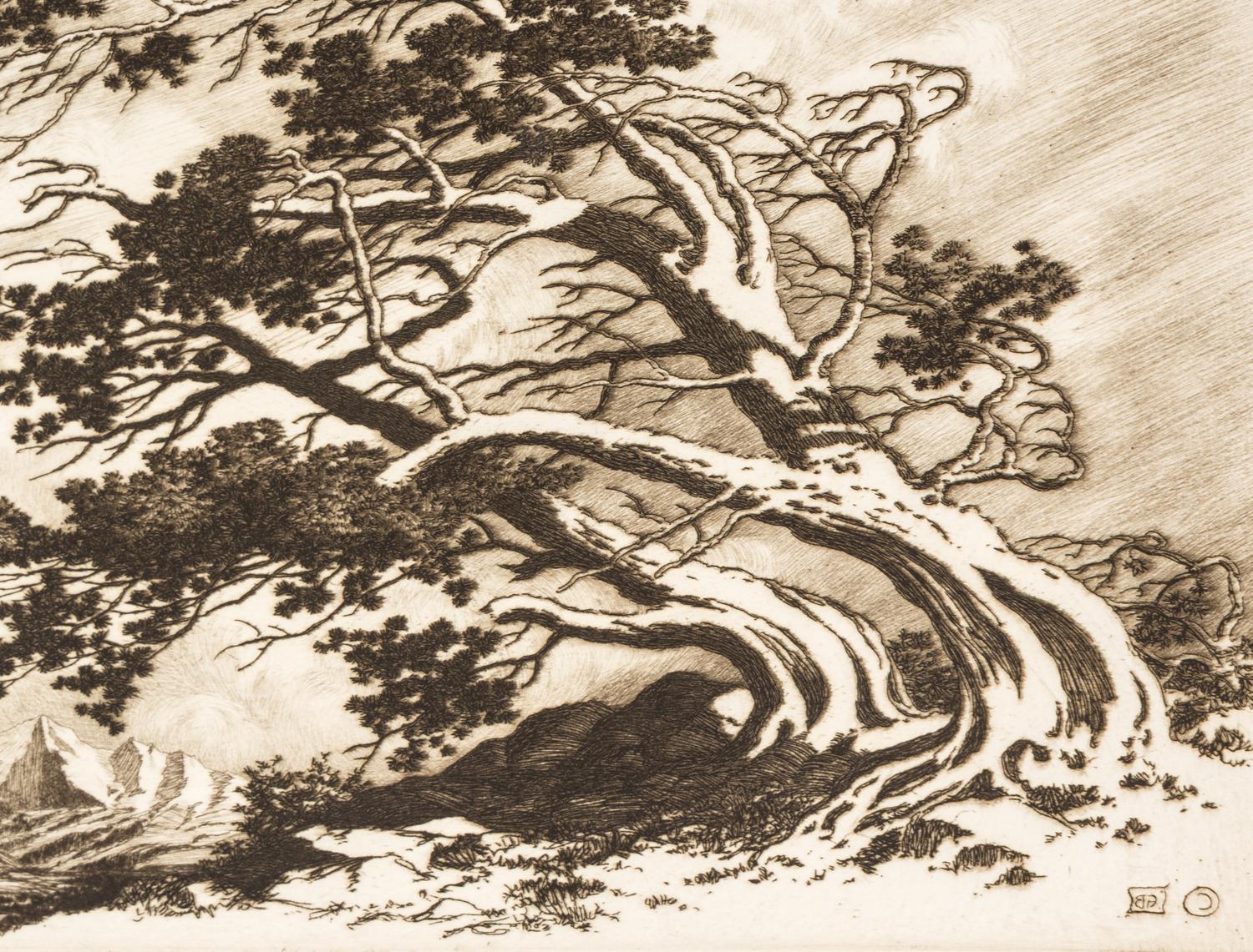 Pines in Wind