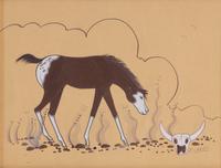 untitled, Horse and Buffalo Skull