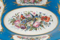 A Sèvres Painted Porcelain Dish