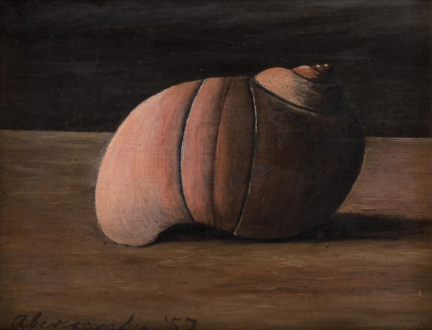 Untitled (Shell)