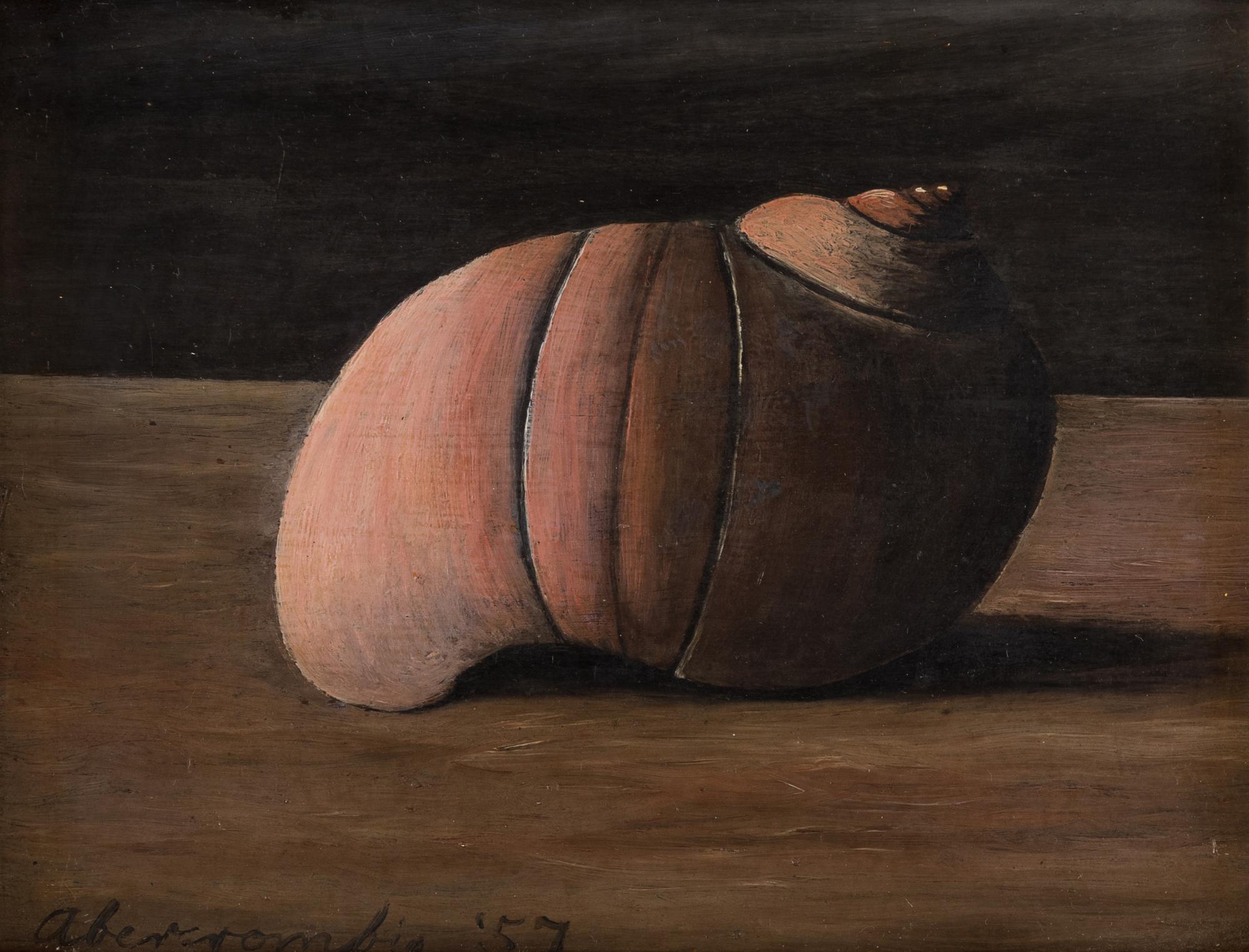 Untitled (Shell)