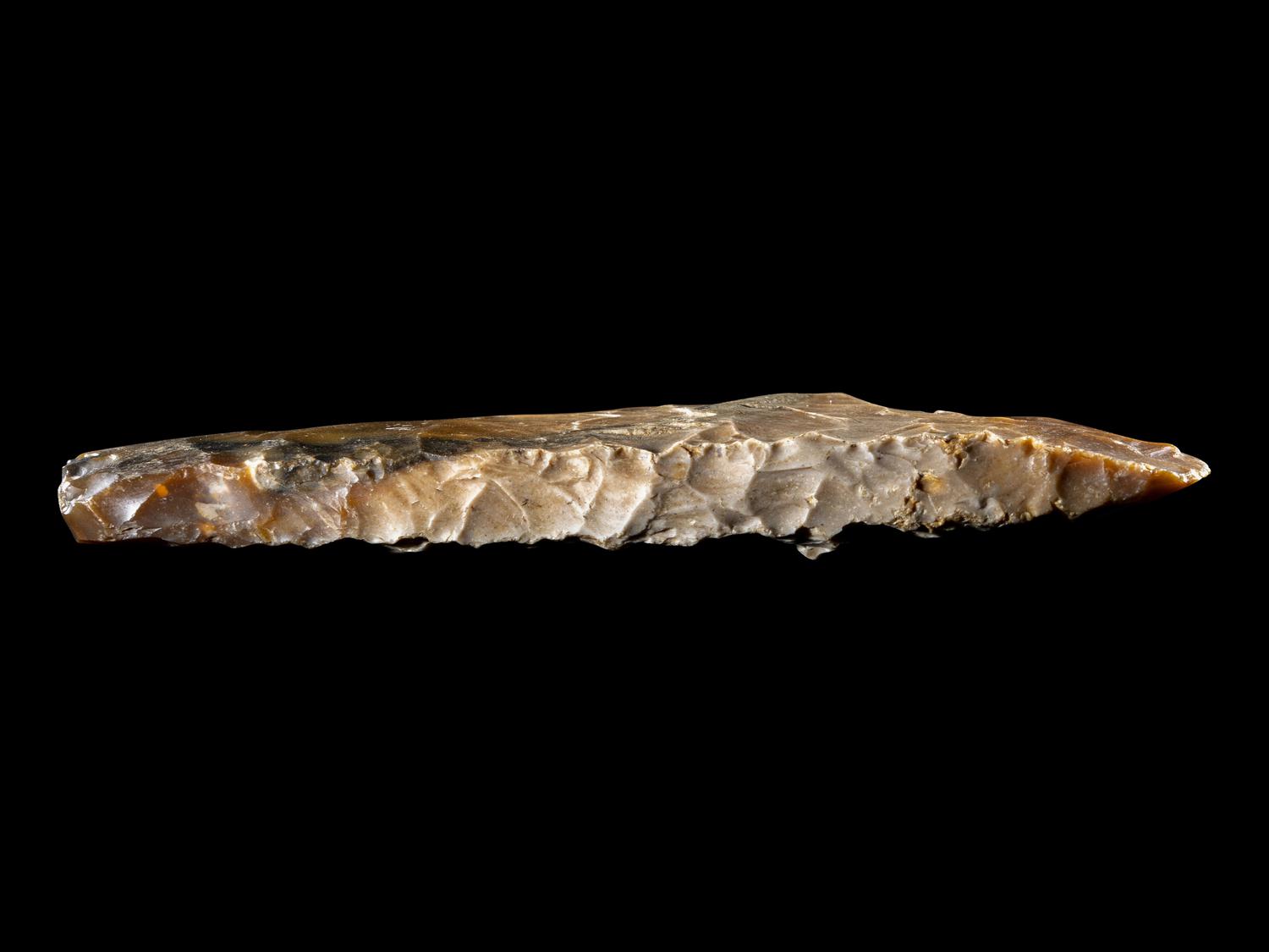 A Neolithic Flint Thin-Butted Axe
