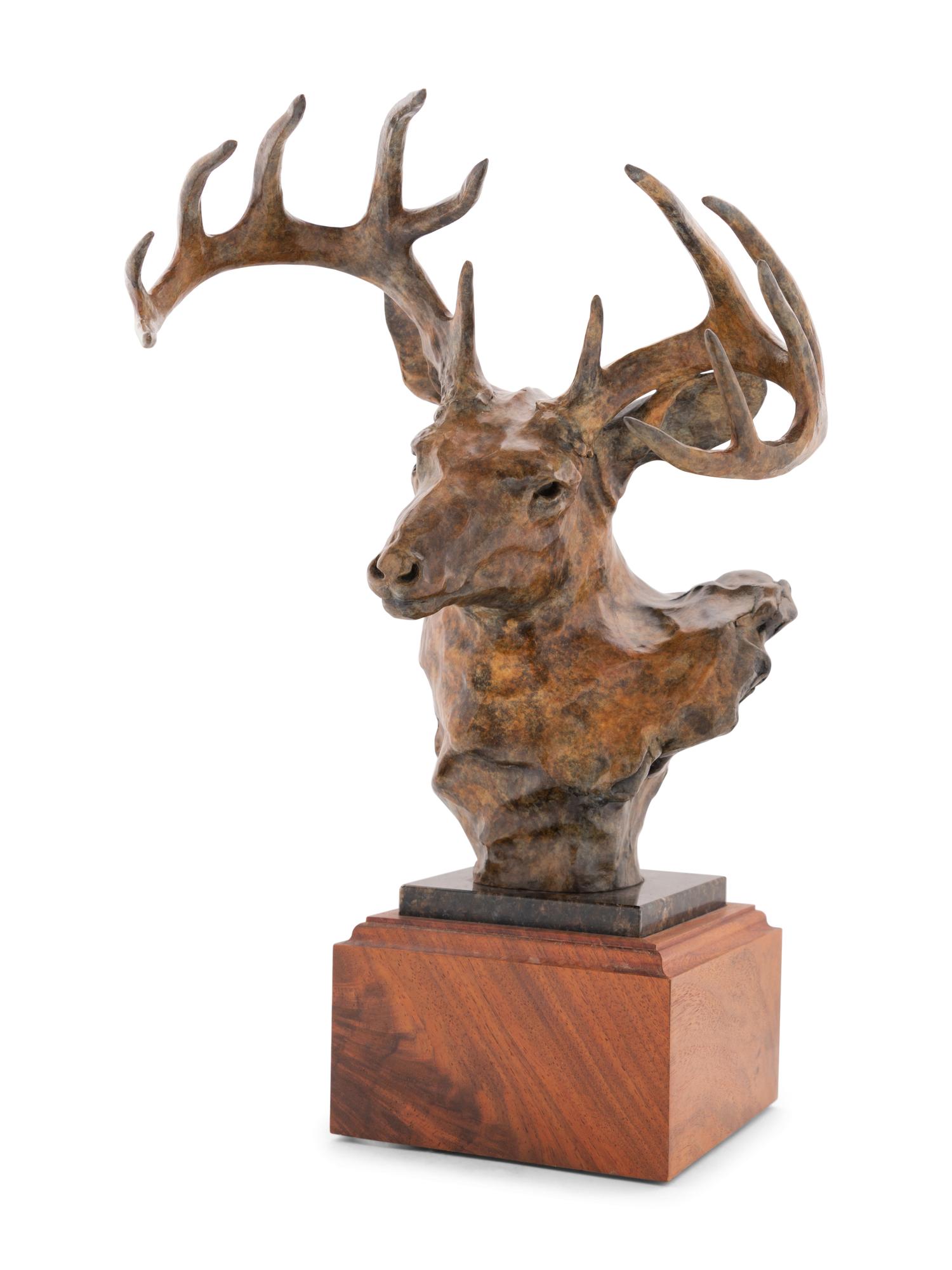 Elk Bust , edition 6/35