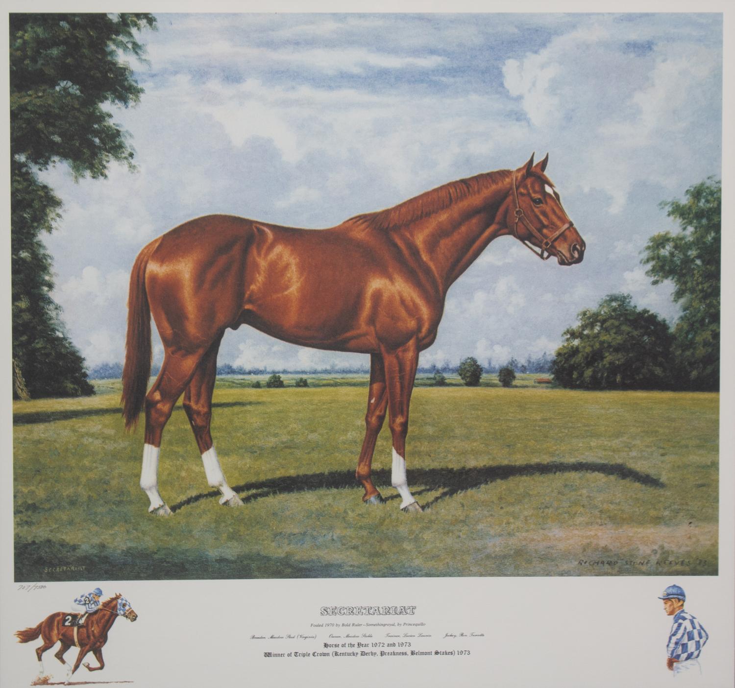 Nineteen Equestrian Prints