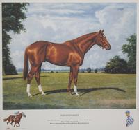 Nineteen Equestrian Prints