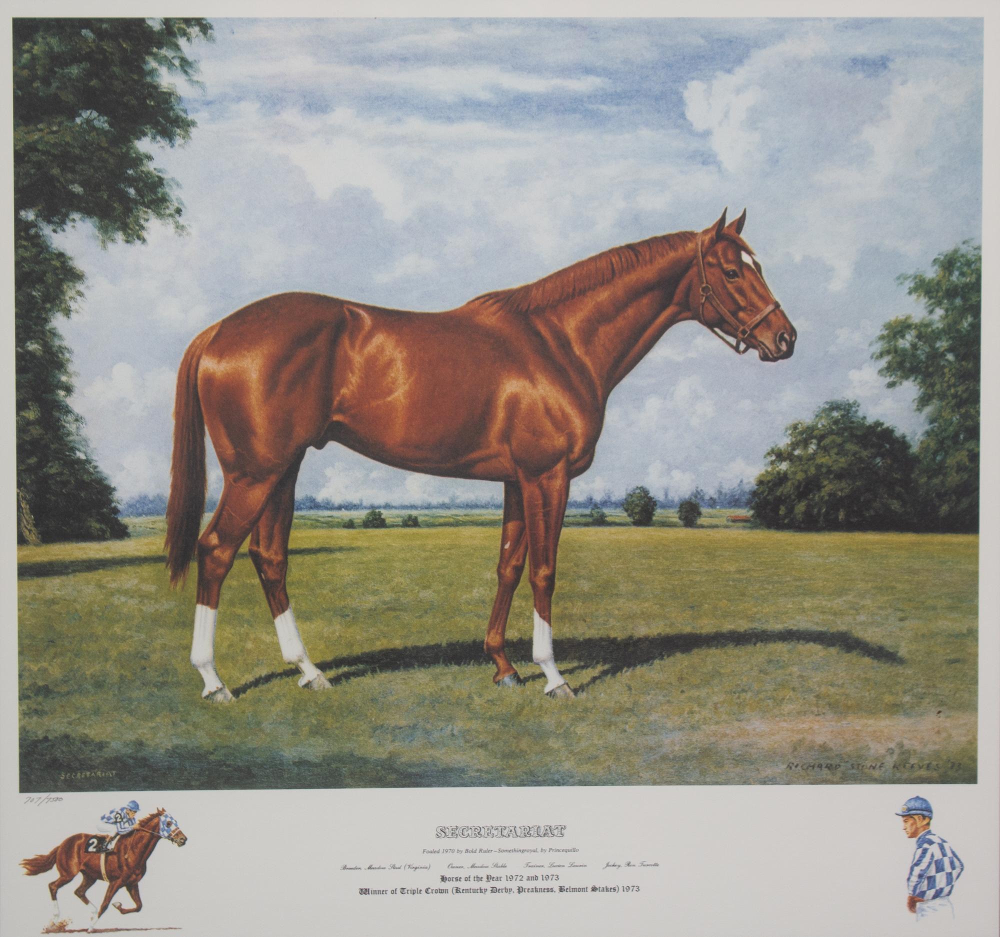 Nineteen Equestrian Prints