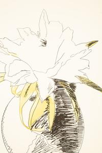 Flowers (Hand Colored)