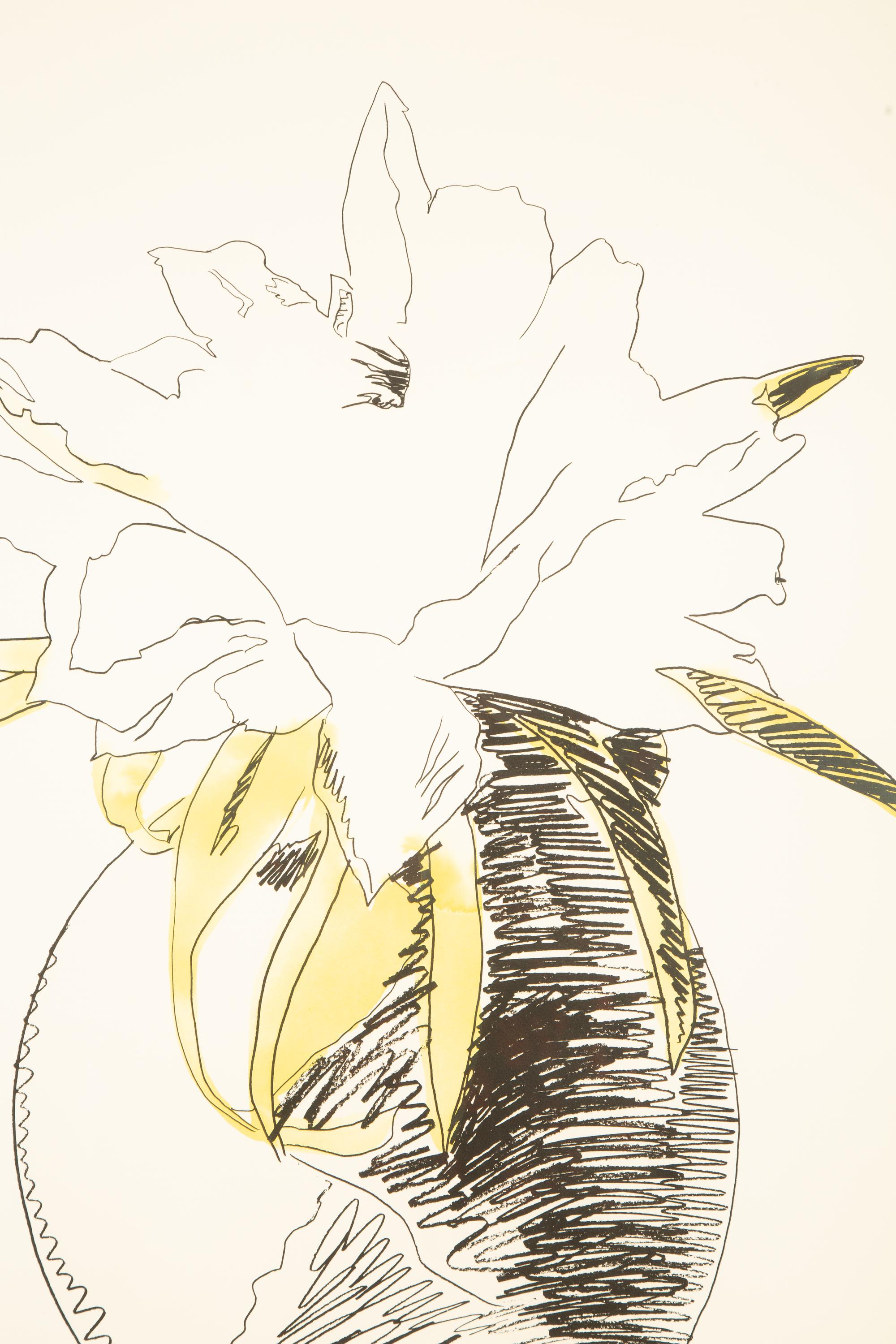 Flowers (Hand Colored)