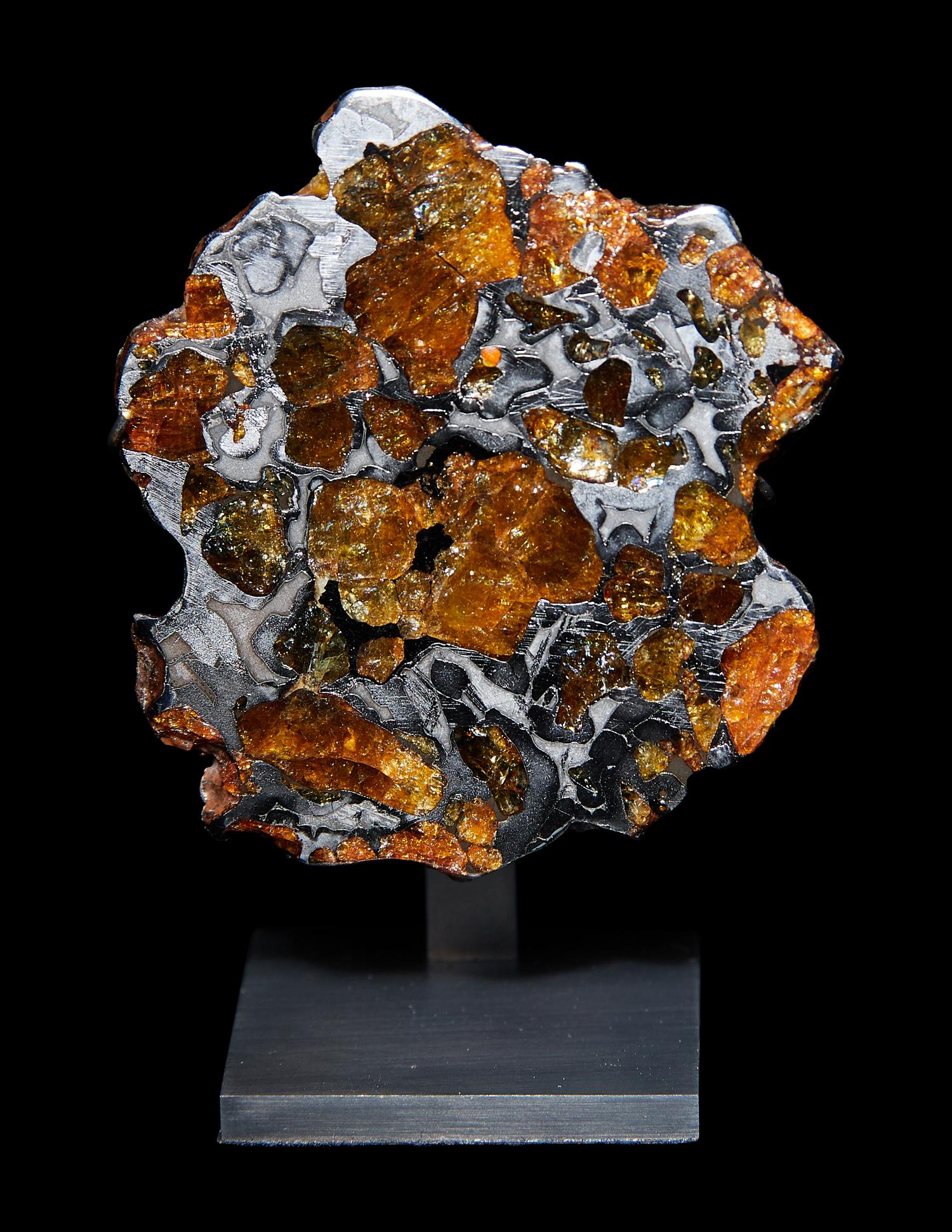 A Meteorite Slice