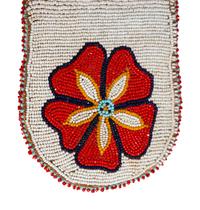 Plateau Beaded Hide Pouch