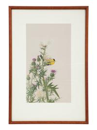 Thistle and Sunshine, 1993