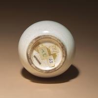 A Chinese White Glazed Porcelain 'Chilong' Bottle Vase, Qing Dynasty — 清 白釉盤螭龍瓶