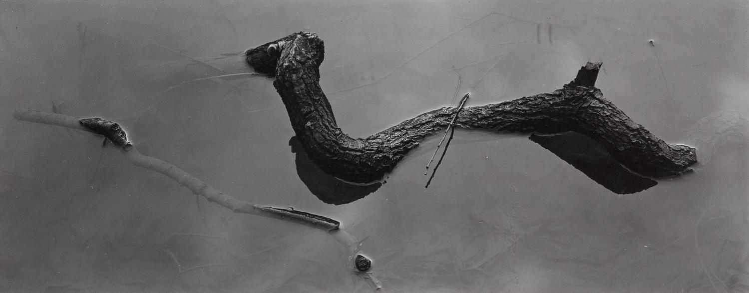 Harry Callahan, (American, 1912-1999), Detroit Log, c. 1940-49