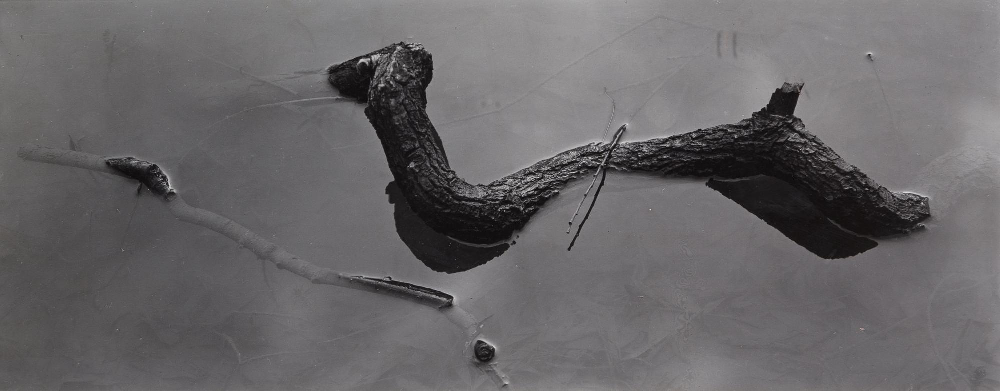 Harry Callahan, (American, 1912-1999), Detroit Log, c. 1940-49