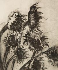 Untitled (Sunflowers)