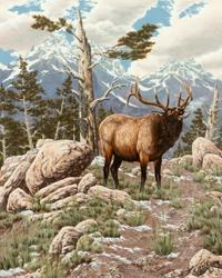 High Country Bugle