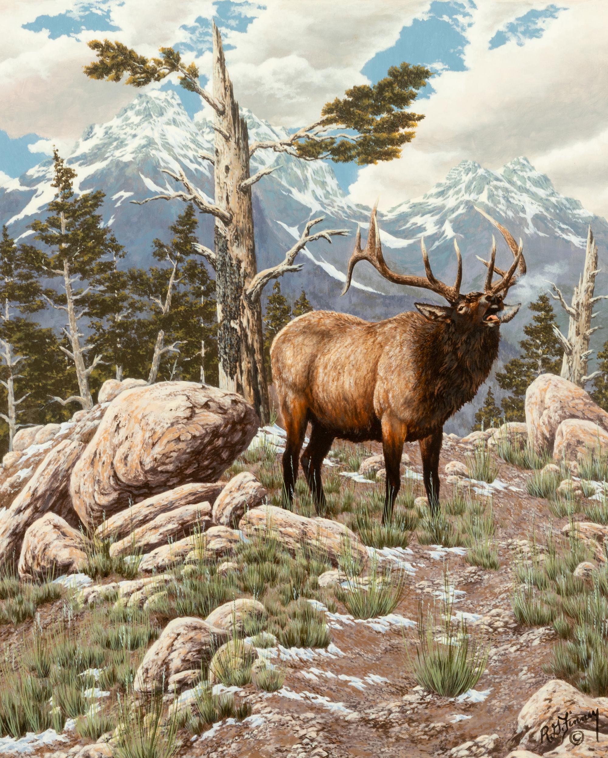 High Country Bugle