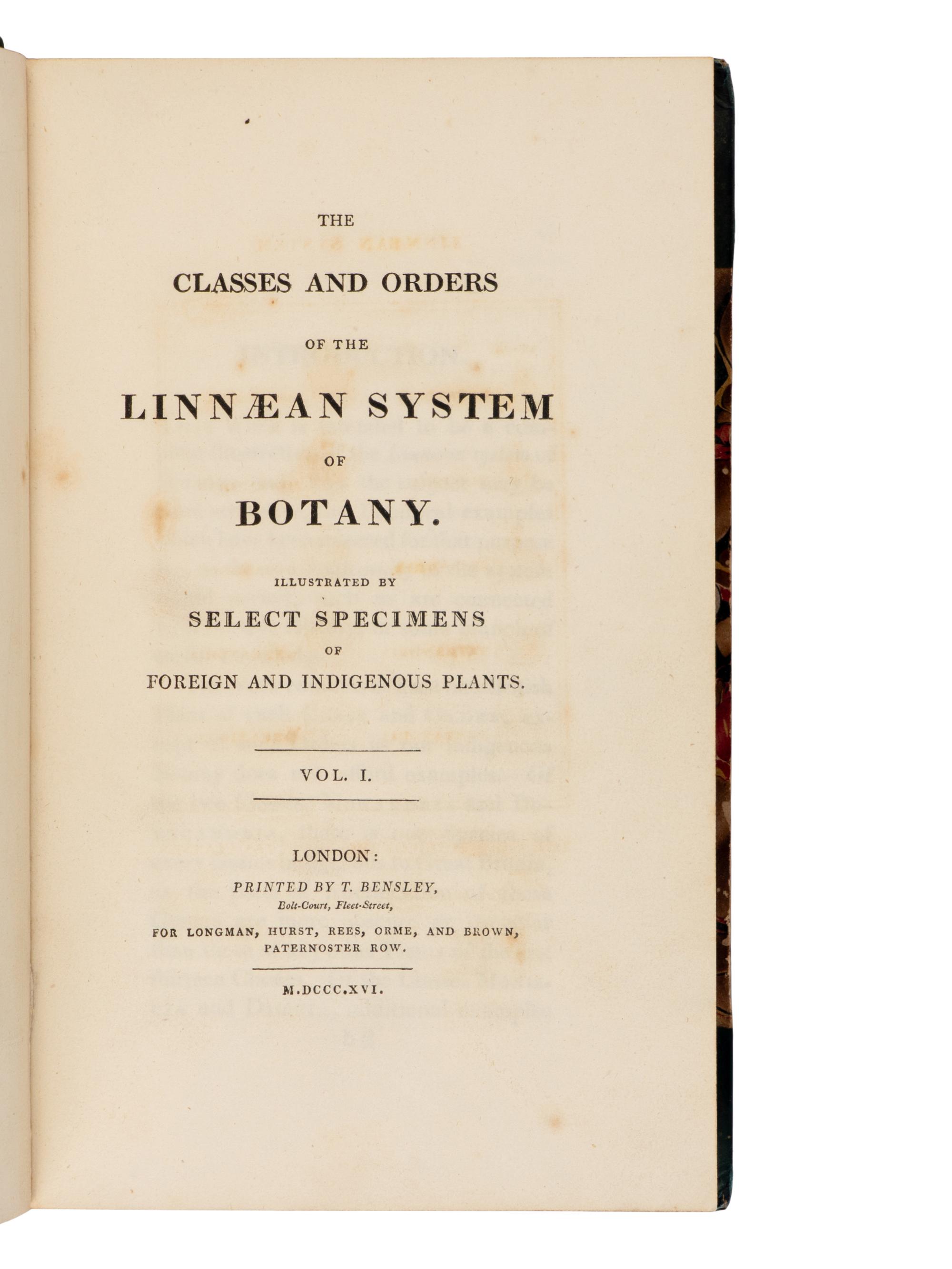 [Natural History] Duppa, Richard. The Classes and Orders of the Linnaean System of Botany