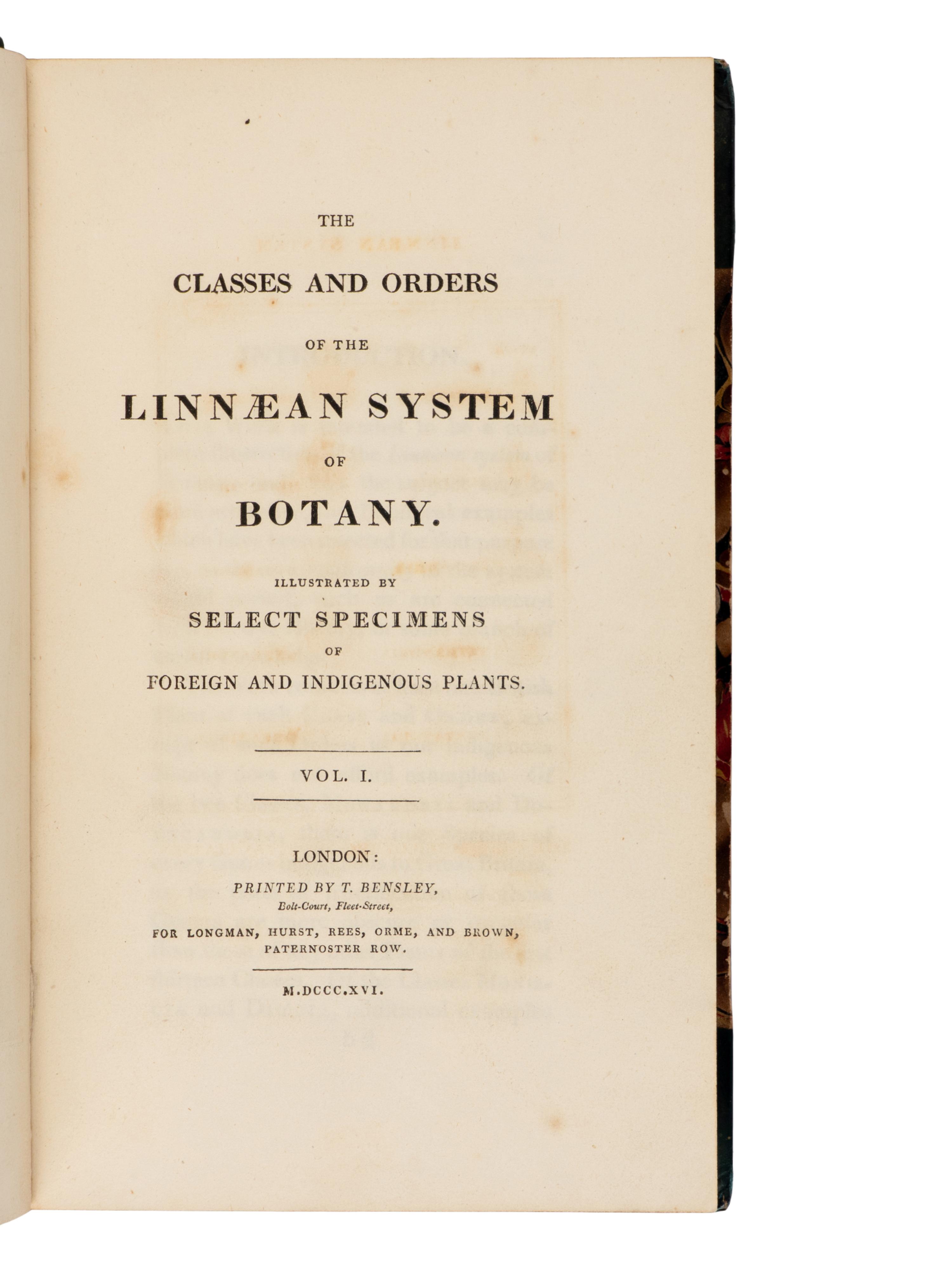 [Natural History] Duppa, Richard. The Classes and Orders of the Linnaean System of Botany