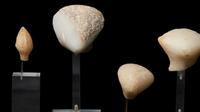 A Group of 6 Anatolian Marble Heads