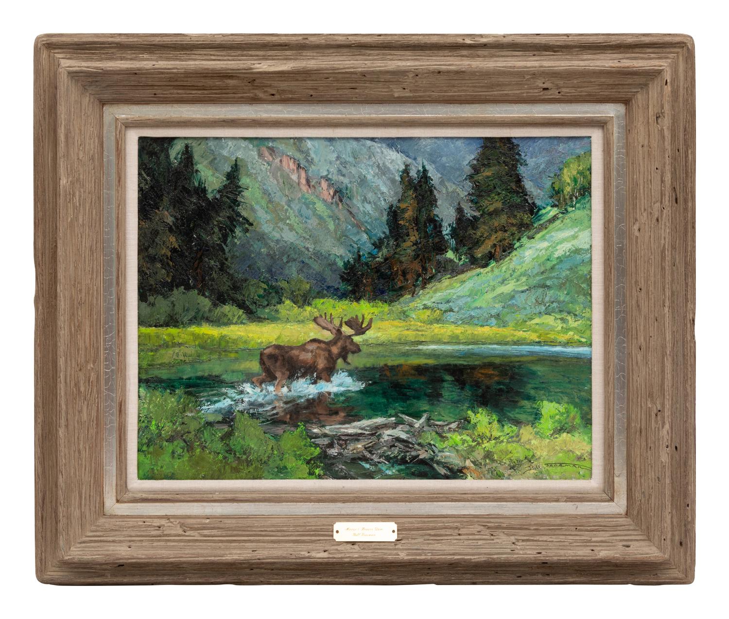 Moose & The Beaver Dam